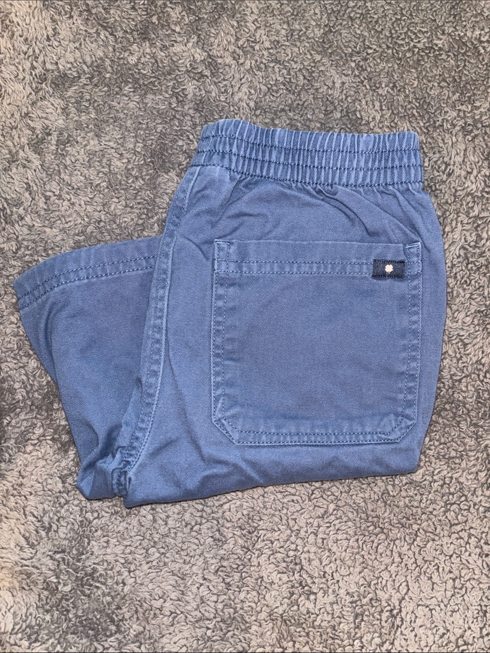 Lucky Brand Boys Blue Elastic Waist Shorts